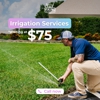 Viking Lawn Care and Irrigation gallery