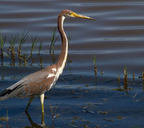 Hampton Inn Vero Beach - Vero Beach, FL