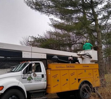 Eskildsen's Tree Service & Property Maintenance - Arkdale, WI