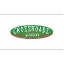 Crossroads Farm - Horse Rentals