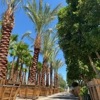Moon Valley Nurseries gallery
