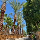 Moon Valley Nurseries - Nurseries-Plants & Trees