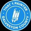 That 1 Painter Galveston County gallery