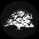 Treedog's Tree Service - Tree Service