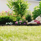Lawn Doctor Of Aston-Middletown