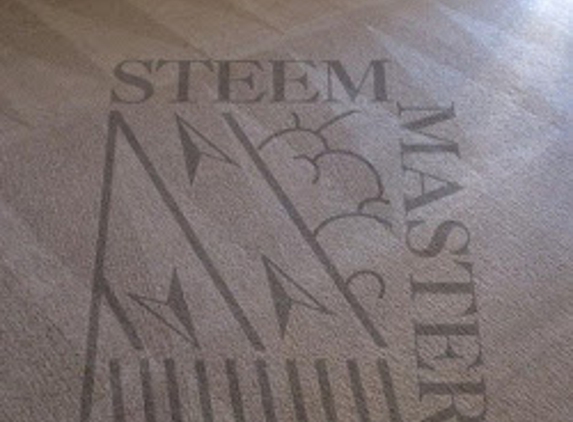 Steem Master Carpet Cleaner - Clarksville, TN