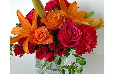 Hody S Florist 3515 W Hamilton Ave Nashville Tn 37218 Yp Com