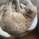 Community Animal Hospital - Veterinarians
