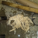 Roto-Rooter Plumbing & Water Cleanup