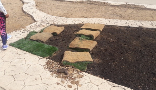 Mr Bs Sod Install - El Paso, TX