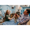 Stevenson Village Veterinary Hospital gallery