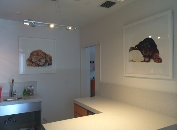 EZ Vet Pet Health Care Center- Animal Hospital - Miami, FL