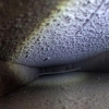 Premier Duct Cleaning gallery