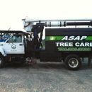 Asap Tree Care - Arborists
