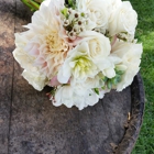 Allyce Marie Designs Wedding & Event Flowers