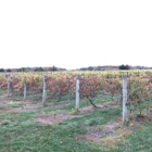 HOPEWELL VALLEY VINEYARDS