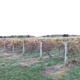 HOPEWELL VALLEY VINEYARDS