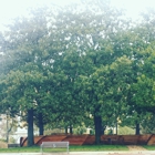 Friends Of The Palo Alto Library