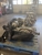 Davis Automotive - Auto Repair & Service