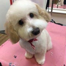 Woof Gang Bakery