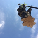 Sussex Tree Inc