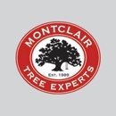Montclair Tree Experts - Tree Service