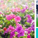 Aqua-Light Irrigation and Lighting - Landscaping & Lawn Services