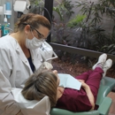 Zrallack Dental Inc. - Dental Clinics