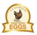 Llandilo Farm Fresh Eggs - Poultry Supplies