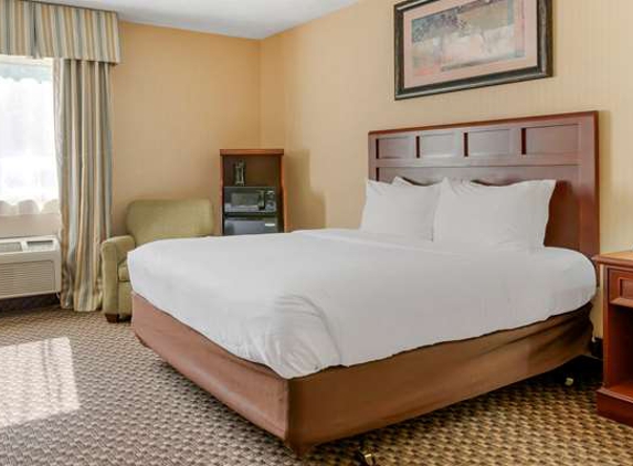 Comfort Inn Traverse City - Traverse City, MI