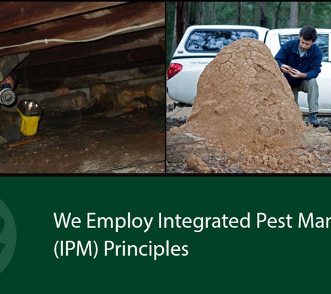 Systems Pest Management Pty Ltd - Thornleigh, NSW. We Employ Integrated Pest Management (IPM) Principles