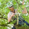 Treeworx Tree Service gallery