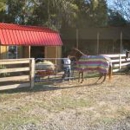 Sam Turner rd Farm Horse boarding - Horse Boarding