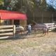 Sam Turner rd Farm Horse boarding