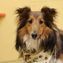 Tranquility Veterinary Clinic - Veterinarians