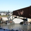 Evergreen Valley Landscape gallery