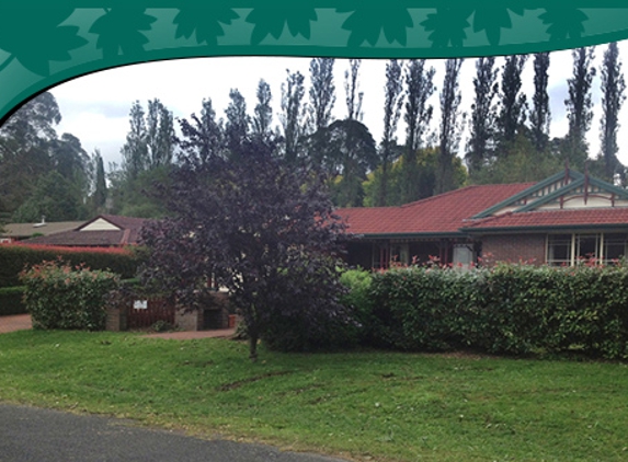 Above All Arbor - Colo Vale, NSW. We Treat Every Job Big Or Small With The Same Attention