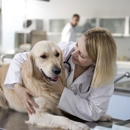 Encanto Pet Clinic - Pet Grooming