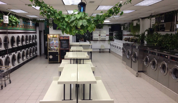 Y & S Laundromat & Dry Cleaning - Norwalk, CT