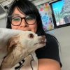 Starburst Spa Mobile Pet Grooming gallery