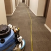 My Carpet Cleaning & Restoration Service gallery