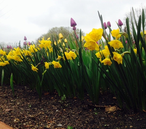 Munsinger Gardens - Saint Cloud, MN