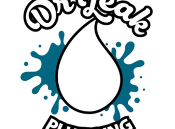 Dr Leak Plumbing LLC - Calimesa, CA