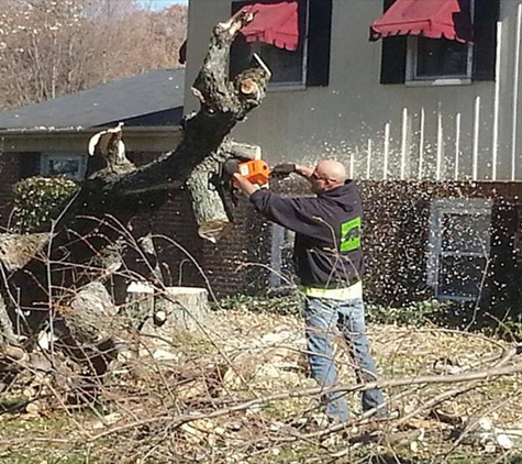 Action Affordable Tree Service - Greenwood, IN