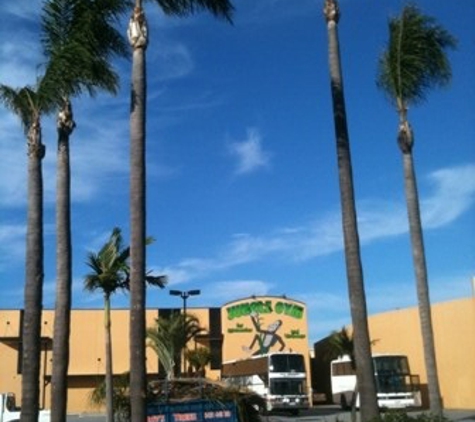 Travs Trees