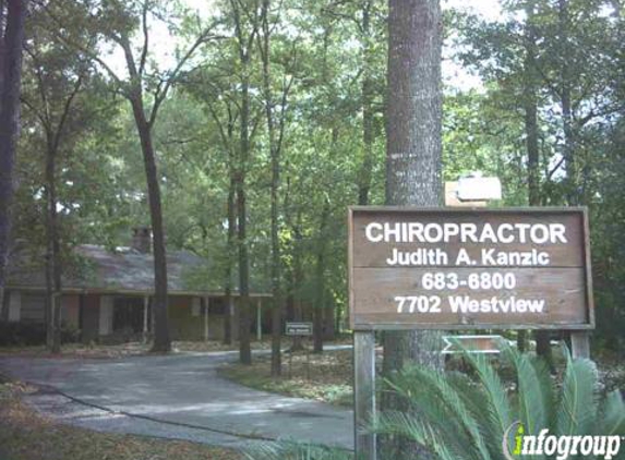 Houston Chiropractic - Houston, TX