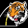 Law Tigers Motorcycle Injury Lawyers-St Louis