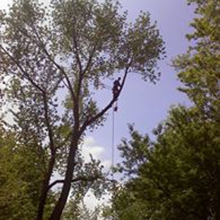 JR's Tree Service, LLC - Mount Morris, MI