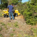 Bakers all around Tree Service - Landscaping & Lawn Services