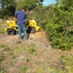 Bakers all around Tree Service